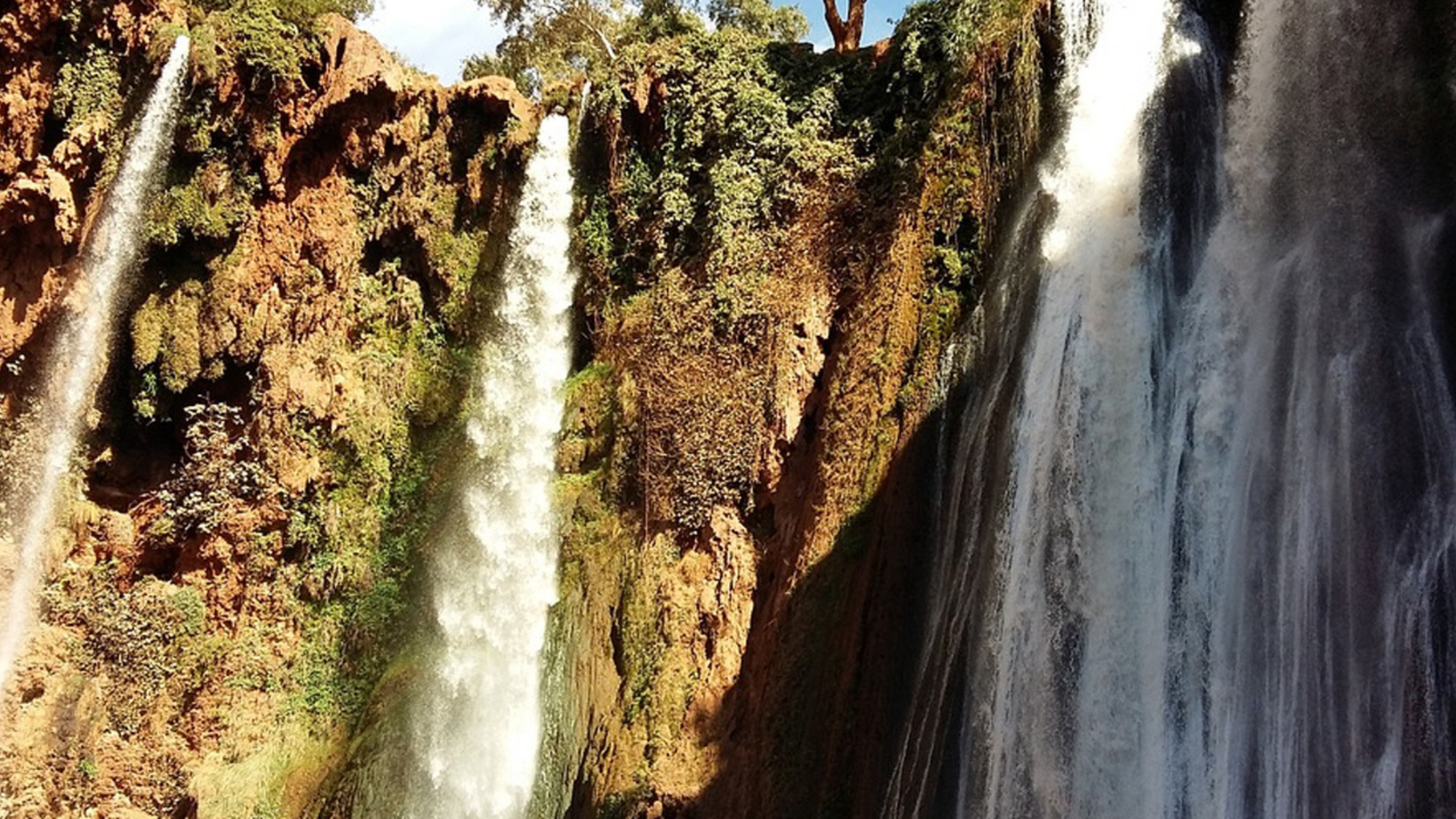 Untitled design (15)