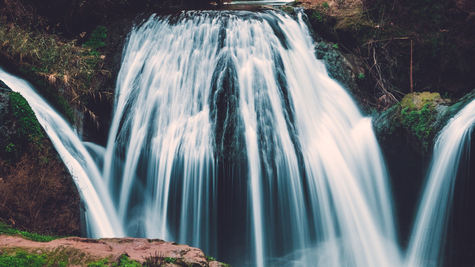 Untitled design (16)